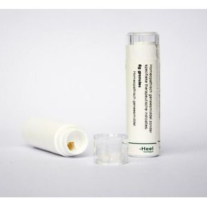 Homeoden Heel Dulcamara d6 4g Globuli