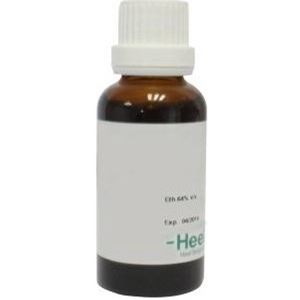 Homeoden - Echinacea Purpurea Phyto - Homeopathisch Geneesmiddel - 30 ml
