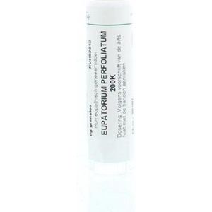 Homeoden - Heel Eupatorium Perfoliatum 200K - Granules - 6 Gram