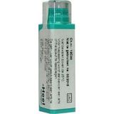 Homeoden - Gelsemium Sempervirens D6 - Homeopathisch Geneesmiddel - 4g