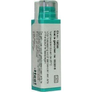 Homeoden - Hamamelis Virginiana D12 - Granules - 6 Gram