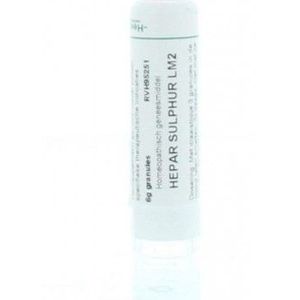 Homeoden Heel - Hepar sulphur LM2 - 6 gram Granules