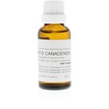 Hydrastis canadensis D6