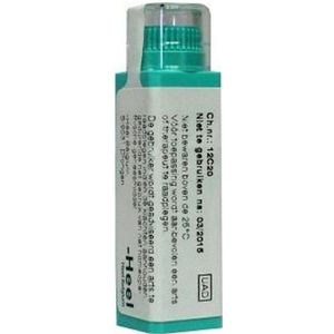 Homeoden - Heel Hypericum Perforatum - Homeopathisch Geneesmiddel - 12 Granules