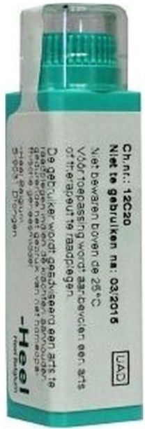 Homeoden - Heel Hypericum perforatum D12 - Granules - 6 Gram