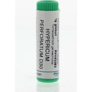Homeoden Heel - Hypericum Perforatum D30 - 1 Gram Globuli