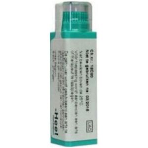 Homeoden - Heel Hypericum - Creme - 100g