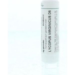 Homeoden Heel - Lycopus virginicus D6 - Granules - 6 gram