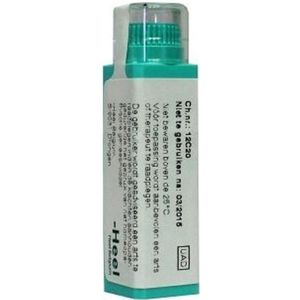 Homeoden - Nux Vomica LM30 - Homeopathisch Middel - 6 Gram Granules