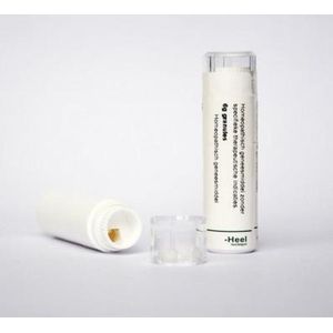 Homeoden - Phosphoricum Acidum D6 - Homeopathisch Geneesmiddel - 6 Gram