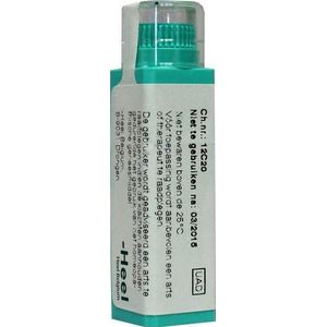 Homeopathische Geneesmiddelen - Phytolacca Decandra - 6 Gram Granules