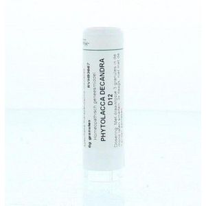 Homeoden - Phytolacca Decandra D12 - Granules - 6 Gram