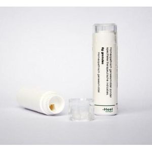 Homeopathische Geneesmiddelen - Platinum Metallicum D30 - 6 Gram Granules