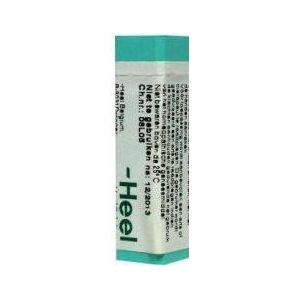 Homeoden Heel Rhus toxicodendron 200k 1g