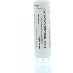 Homeoden - Heel Rhus Toxicodendron - Homeopathisch Geneesmiddel - 4g