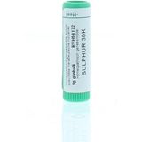 Sulphur 30K