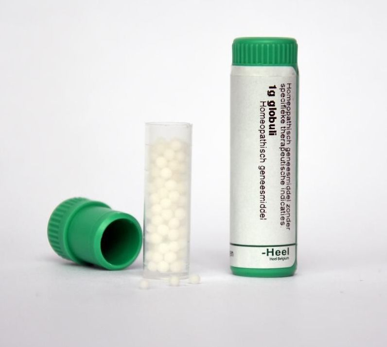 Taraxacum officinale D6