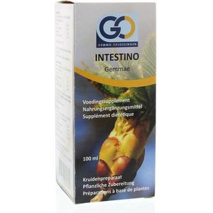 GO - Intestino - Voedingssupplement - Plantaardig - 36% Alcohol