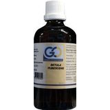 Go - Betula Pubescens - Plantaardig Voedingssupplement - 6 ml