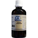 GO Betula pubescens 100 ml