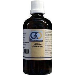 GO Betula pubescens 100 ml