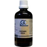 Go Castanea vesca 100ml