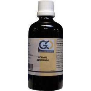 Go Cornus Sanguinea