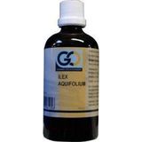 GO - Ilex Aquafolium - Plantaardig Voedingssupplement - 100 ml