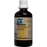 Go Ligustrum Vulgare