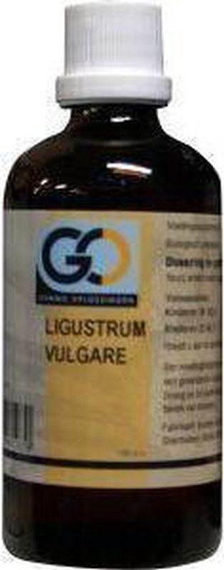 Go Ligustrum Vulgare