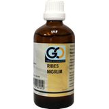 GO - Ribes Nigrum Bio - Gewrichtsmiddel - 100ml