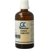 GO - Sorbus Domestica - Voedingssupplement - Biologisch - 6 ml