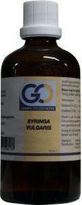 Go Syringa Vulgaris