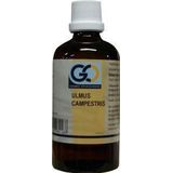 Go - Ulmus Campestris - Fytotherapie - 100ml