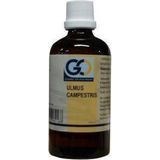 Go - Ulmus Campestris - Fytotherapie - 100ml
