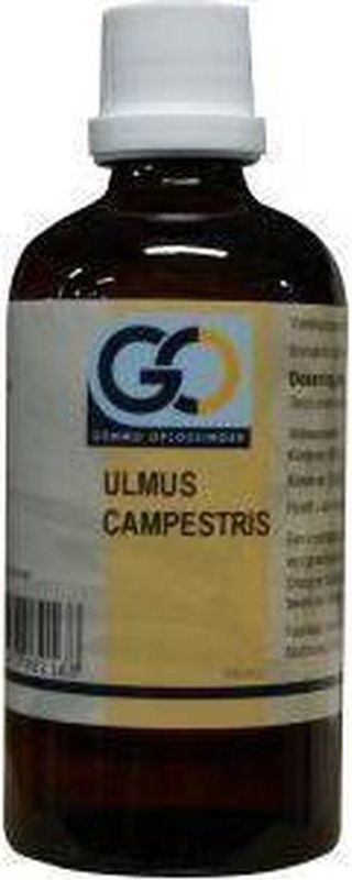 Go - Ulmus Campestris - Fytotherapie - 100ml