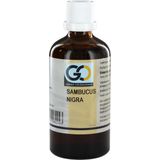 Go Sambucus Nigra - Voedingssupplement - Vlier - Biologisch