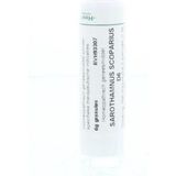 Homeoden - Sarothamnus Scoparius D6 - Granules - 6 Gram