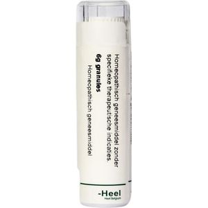 Homeoden - Graphites D6 - Homeopathisch Geneesmiddel - 6 Gram