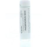 Phosphorus 30CH