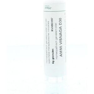 Ammi visnaga D30