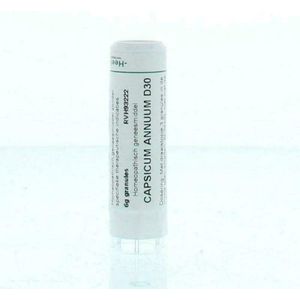 Homeoden - Capsicum annuum D30 - Homeopathisch Geneesmiddel - 6 Gram