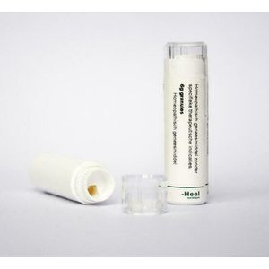 Homeoden Heel Cichorium intybus d30 6 G