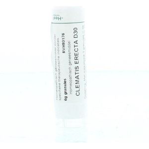 Homeoden Heel Clematis erecta D30 - Granules - 6 gram