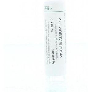 Homeopathische Geneesmiddelen - Viscum Album D12 - 6 Gram Granules