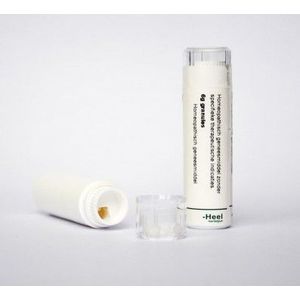 Homeoden Heel - Taraxacum officinale D12 - Granules - 6 gram