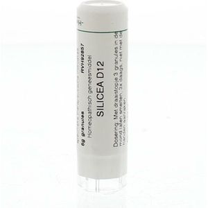 Homeoden - Heel Silicea d12 - Homeopathisch Geneesmiddel - 6 Gram