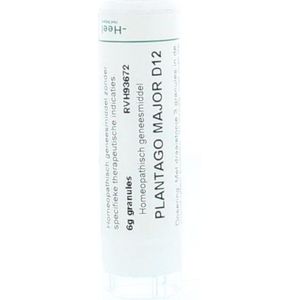 Homeopathische Geneesmiddelen - Plantago Major D12 - 6 Gram Granules