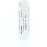 Homeoden Heel Colocynthis D12 - Granules - 6 gram