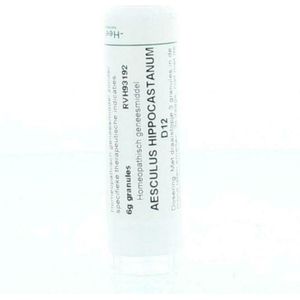 Homeoden - Aesculus Hippocastanum D12 - Homeopathisch Geneesmiddel - 6 Gram